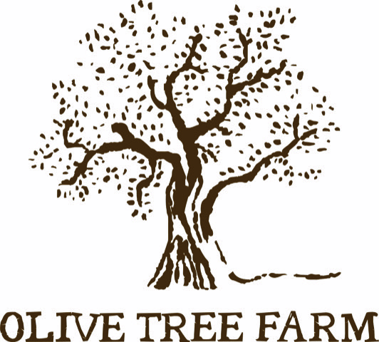 olive tree farm